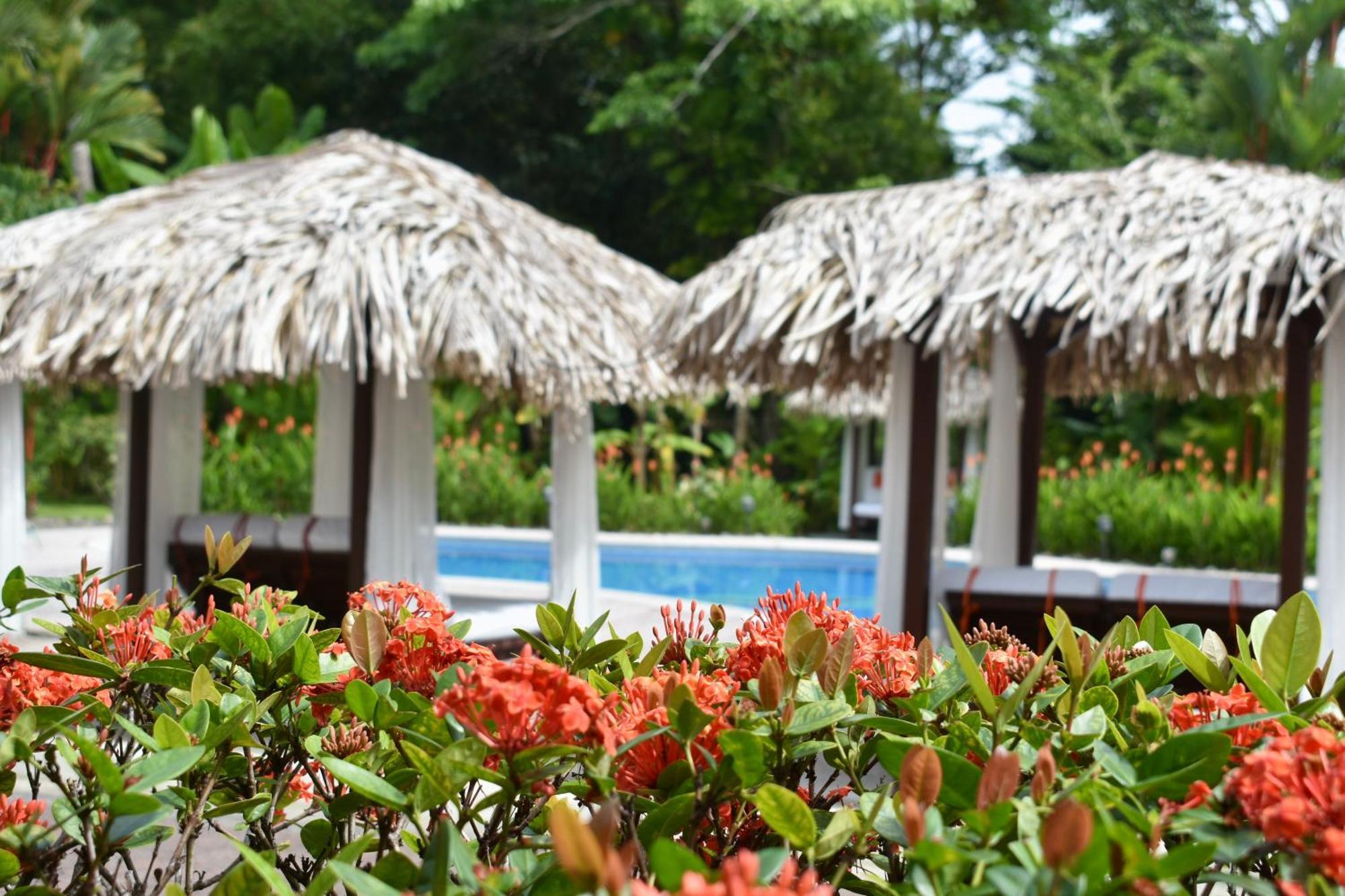 Hotel Playa Espadilla & Gardens Nationalpark Nationalpark Manuel Antonio Exterior foto
