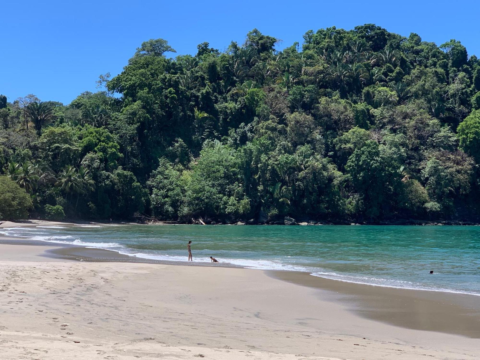 Hotel Playa Espadilla & Gardens Nationalpark Nationalpark Manuel Antonio Exterior foto